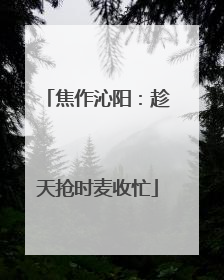 焦作沁阳：趁天抢时麦收忙