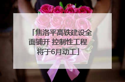 焦洛平高铁建设全面铺开 控制性工程将于6月动工