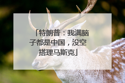 特朗普：我满脑子都是中国，没空搭理马斯克
