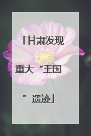甘肃发现重大“王国”遗迹