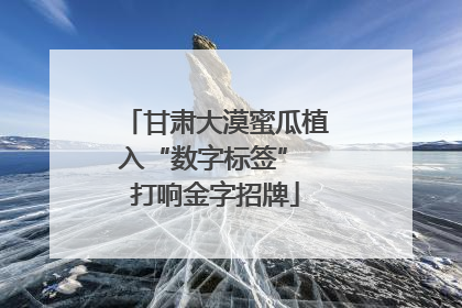 甘肃大漠蜜瓜植入“数字标签” 打响金字招牌