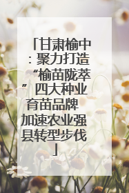 甘肃榆中：聚力打造“榆苗陇萃”四大种业育苗品牌 加速农业强县转型步伐