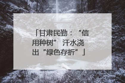 甘肃民勤：“信用种树” 汗水浇出“绿色存折”