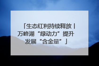 生态红利持续释放丨万峰湖“绿动力”提升发展“含金量”