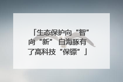 生态保护向“智”向“新” 白海豚有了高科技“保镖”