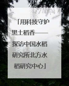 用科技守护黑土稻香——探访中国水稻研究所北方水稻研究中心