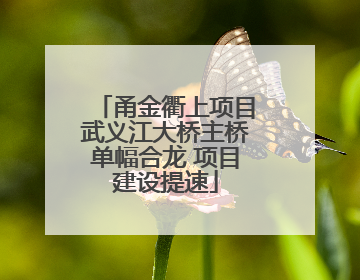 甬金衢上项目武义江大桥主桥单幅合龙 项目建设提速