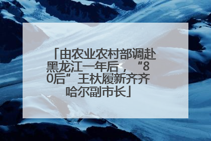 由农业农村部调赴黑龙江一年后，“80后”王杕履新齐齐哈尔副市长