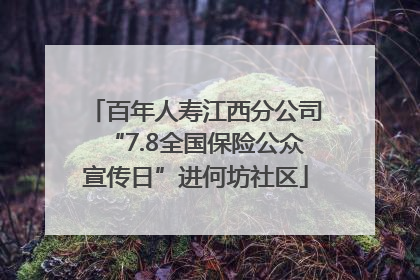 百年人寿江西分公司“7.8全国保险公众宣传日”进何坊社区