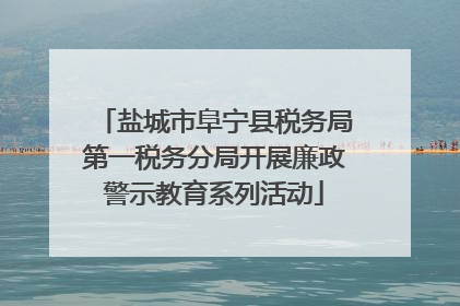 盐城市阜宁县税务局第一税务分局开展廉政警示教育系列活动