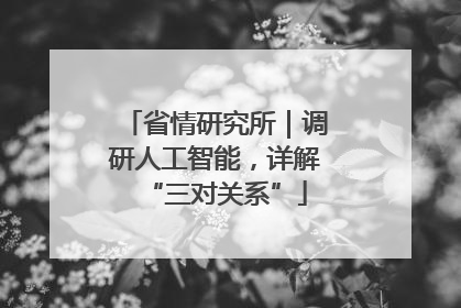 省情研究所｜调研人工智能，详解“三对关系”