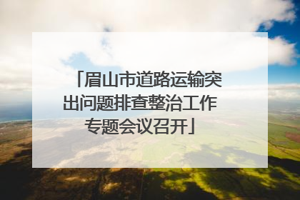 眉山市道路运输突出问题排查整治工作专题会议召开