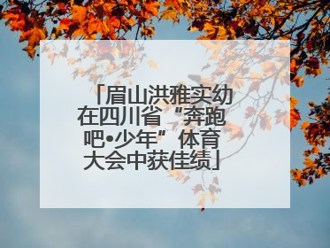 眉山洪雅实幼在四川省“奔跑吧•少年”体育大会中获佳绩