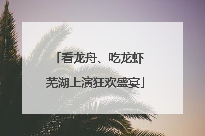 看龙舟、吃龙虾 芜湖上演狂欢盛宴
