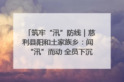筑牢“汛”防线｜慈利县阳和土家族乡：闻“汛”而动 全员下沉筑牢防汛“安全堤”