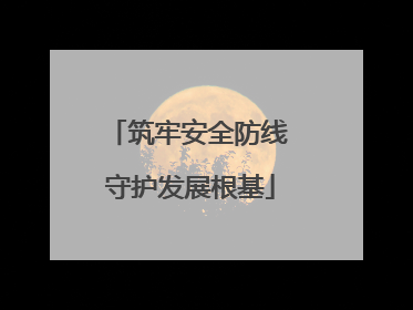 筑牢安全防线 守护发展根基