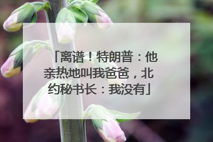 离谱！特朗普：他亲热地叫我爸爸，北约秘书长：我没有