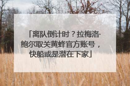 离队倒计时？拉梅洛·鲍尔取关黄蜂官方账号，快船或是潜在下家