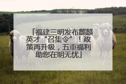 福建三明发布麒麟英才“召集令”！政策再升级，五重福利助您在明无忧
