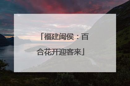 福建闽侯：百合花开迎客来