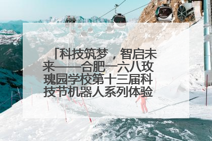 科技筑梦，智启未来——合肥一六八玫瑰园学校第十三届科技节机器人系列体验赛燃动校园