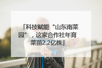 科技赋能“山东南菜园”，这家合作社年育菜苗2.2亿株