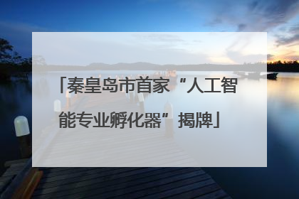 秦皇岛市首家“人工智能专业孵化器”揭牌