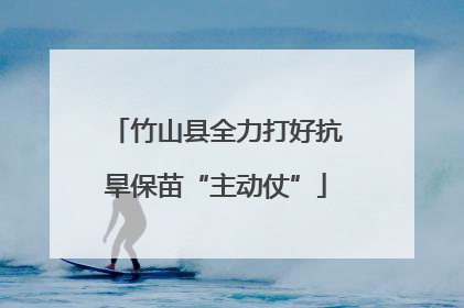 竹山县全力打好抗旱保苗“主动仗”