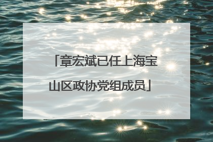 章宏斌已任上海宝山区政协党组成员