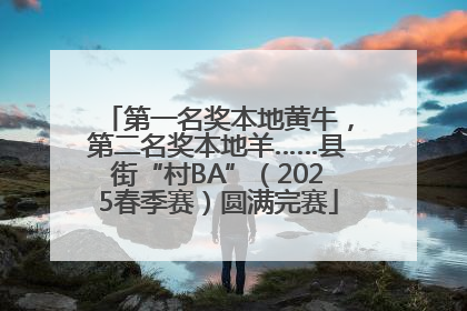 第一名奖本地黄牛，第二名奖本地羊……县街“村BA”（2025春季赛）圆满完赛