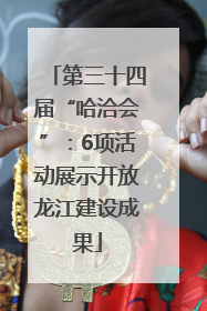第三十四届“哈洽会”：6项活动展示开放龙江建设成果