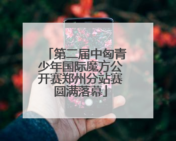 第二届中匈青少年国际魔方公开赛郑州分站赛圆满落幕