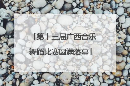 第十三届广西音乐舞蹈比赛圆满落幕