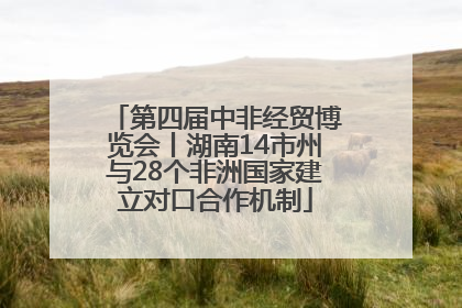 第四届中非经贸博览会丨湖南14市州与28个非洲国家建立对口合作机制