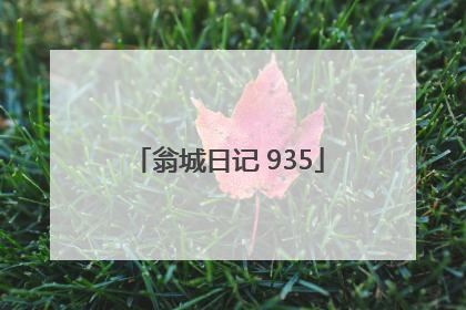 翁城日记 935