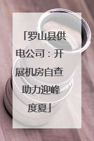 罗山县供电公司：开展机房自查 助力迎峰度夏