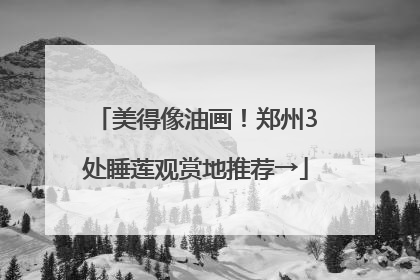 美得像油画！郑州3处睡莲观赏地推荐→
