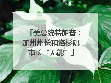 美总统特朗普：加州州长和洛杉矶市长“无能”
