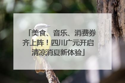 美食、音乐、消费券齐上阵！四川广元开启清凉消夏新体验