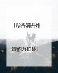 粽香满并州 诗韵万柏林