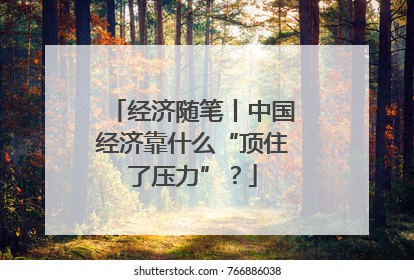 经济随笔丨中国经济靠什么“顶住了压力”？