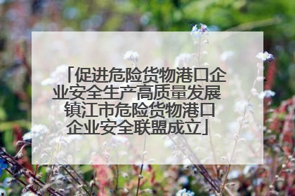 促进危险货物港口企业安全生产高质量发展 镇江市危险货物港口企业安全联盟成立