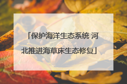 保护海洋生态系统 河北推进海草床生态修复