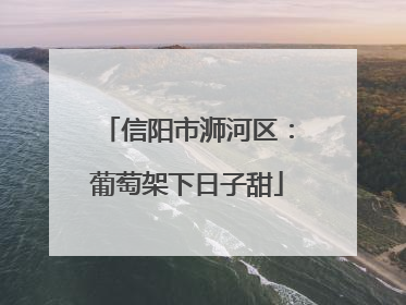 信阳市浉河区：葡萄架下日子甜