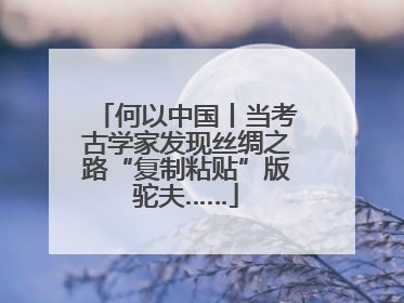 何以中国丨当考古学家发现丝绸之路“复制粘贴”版驼夫……