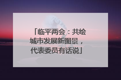 临平两会：共绘城市发展新图景，代表委员有话说