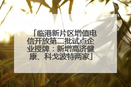 临港新片区增值电信开放第二批试点企业授牌：新增高济健康、科戈波特两家