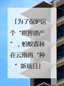 为了保护这个“世界遗产”，蚂蚁森林在云南再“种”新项目