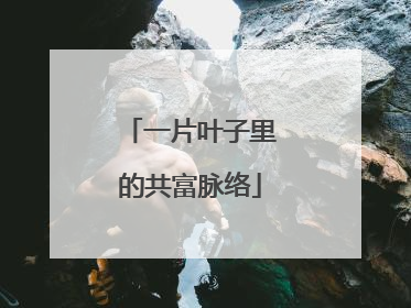 一片叶子里的共富脉络