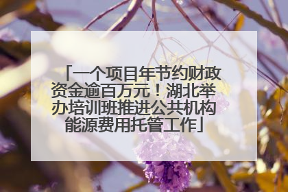 一个项目年节约财政资金逾百万元！湖北举办培训班推进公共机构能源费用托管工作